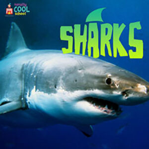 27-TCS-Podcast-Sharks